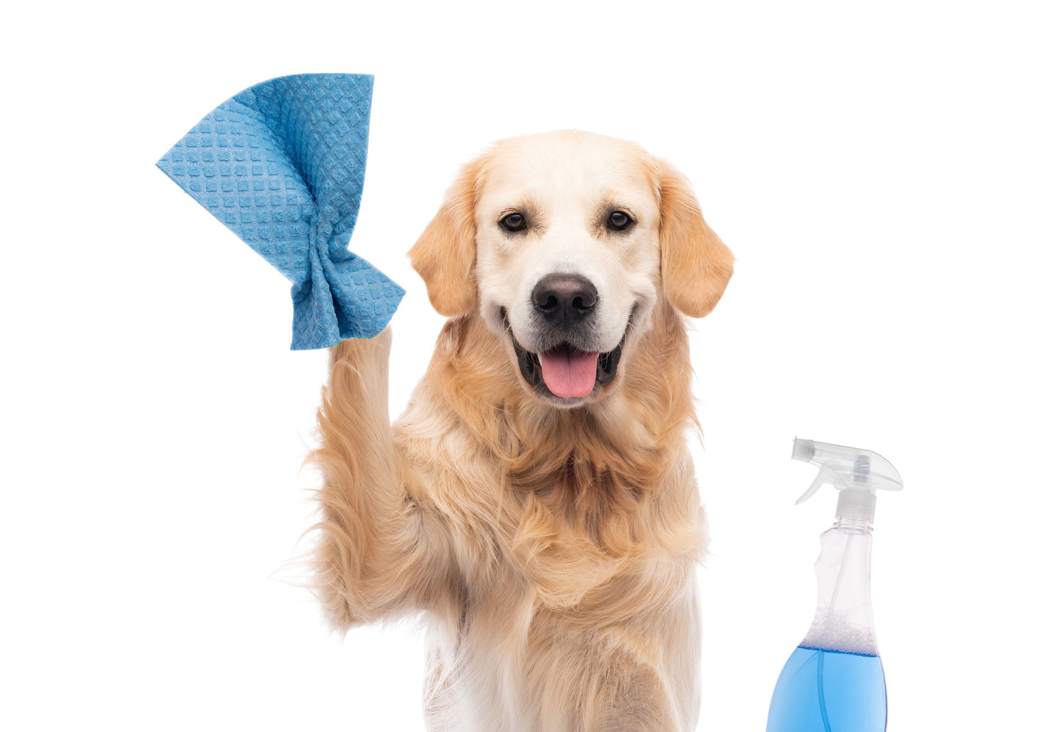 Pet Safe Cleaners